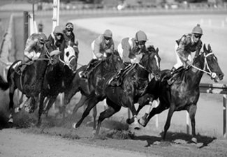 top uk horse betting sites