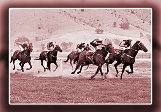 usa horse betting sites online